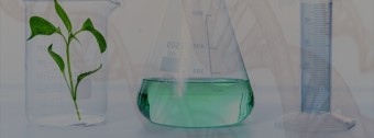 价格与行情